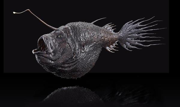 रसातल मछली क्या हैं?  - रसातल क्षेत्र में कौन सी मछली रहती है?